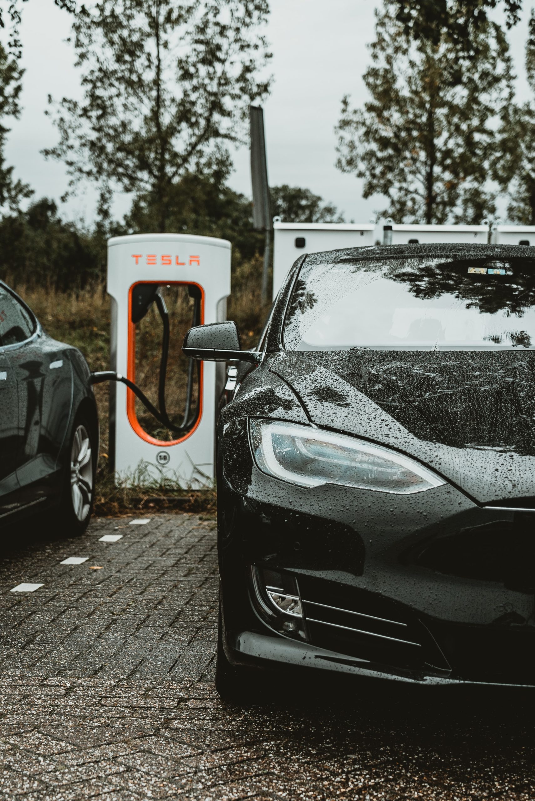 To sorte tesla lader i duskregn